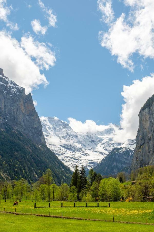 Hafod A Hendre Leilighet Lauterbrunnen Eksteriør bilde