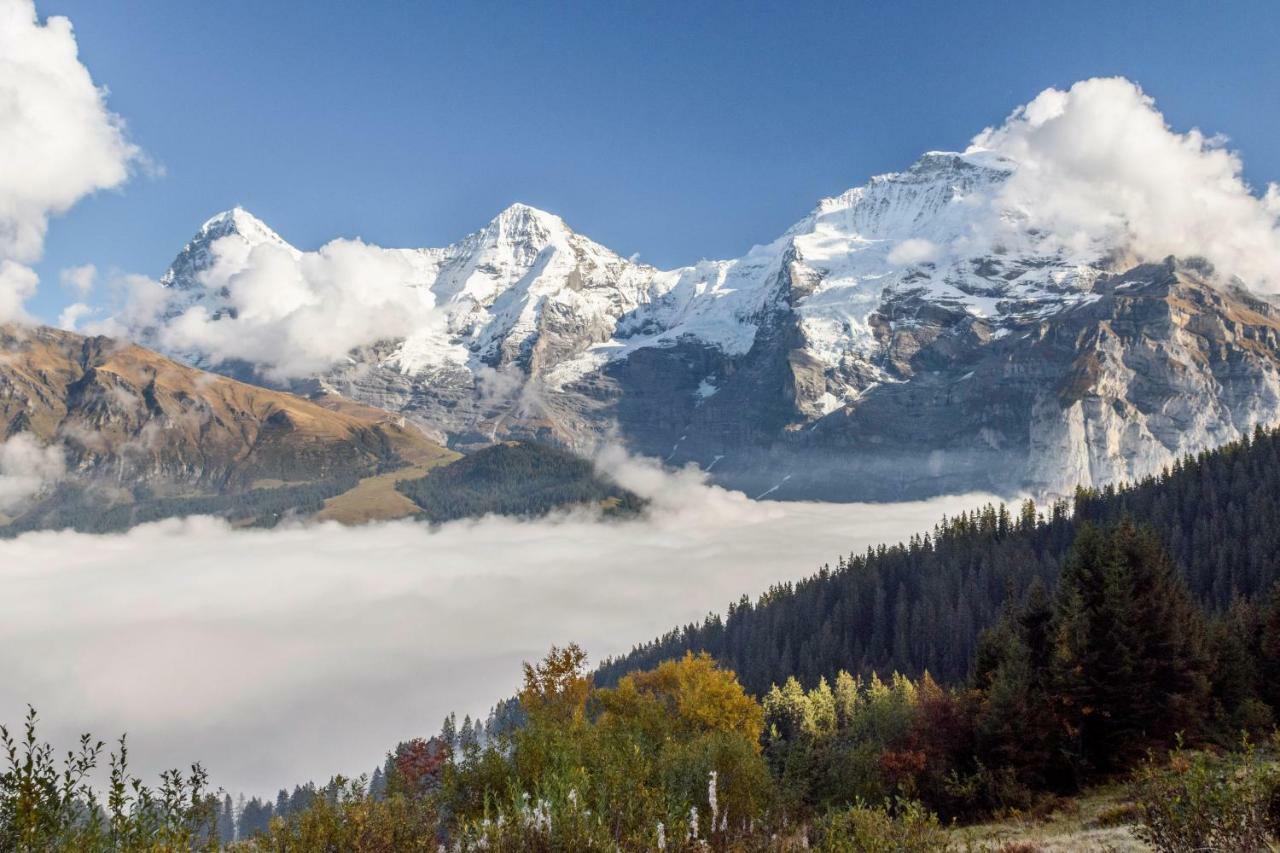 Hafod A Hendre Leilighet Lauterbrunnen Eksteriør bilde