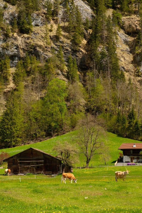 Hafod A Hendre Leilighet Lauterbrunnen Eksteriør bilde